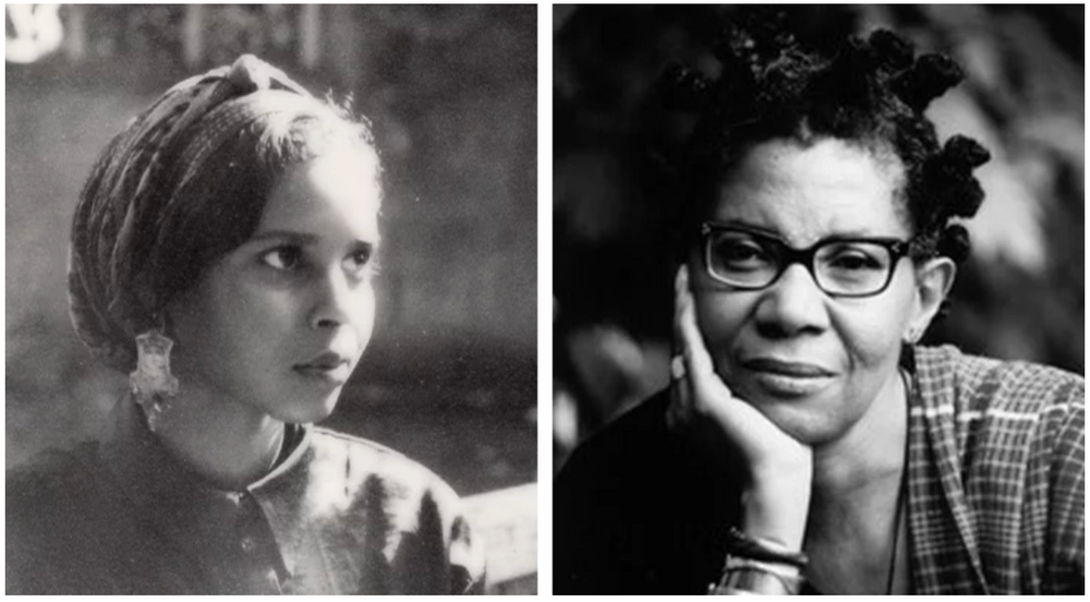Read m. nourbeSe philip in conversation with Momtaza Mehri for Granta